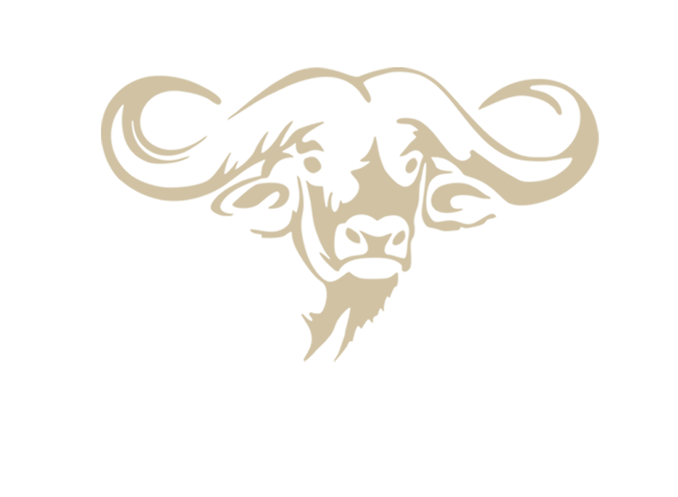 UBATHI GLOBAL SAFARIS